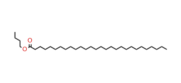 Butyl octacosanoate